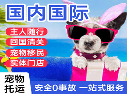 天津机场快运国际宠物托运 【国